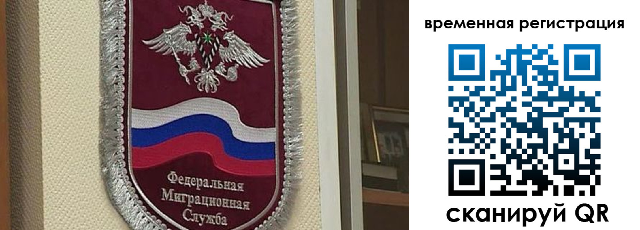 прописка законно в Цимлянске